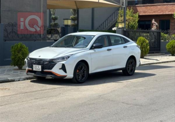 دونج فينج شاين 2024 للبيع في العراق -  بغداد